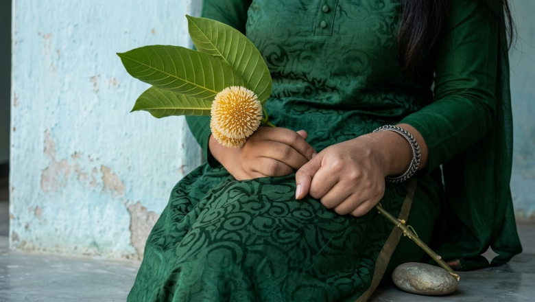 কবিতা: বর্ষার একগুচ্ছ কদমের অপেক্ষা