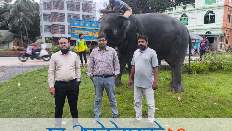জিম্মার শর্ত ভঙ্গ করায় ‘নিহার কলি’ ও ‘সম্রাট বাহাদুর’কে পুনরায় বন বিভাগের হেফাজতে নেওয়ার নির্দেশ পরিবেশমন্ত্রীর